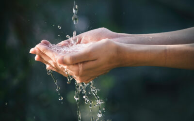 L’eau thermale Avene : une eau apaisante, ideale pour les peaux les plus sensibles