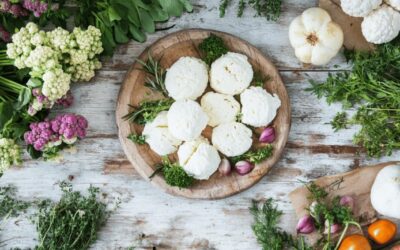 Les avantages des fromages blancs natures pour une alimentation saine