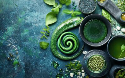 Renforcez Votre Immunité avec la Synergie Spiruline et Oméga-3